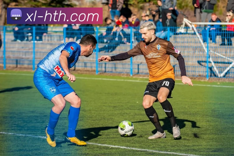 hth体育平台生态图