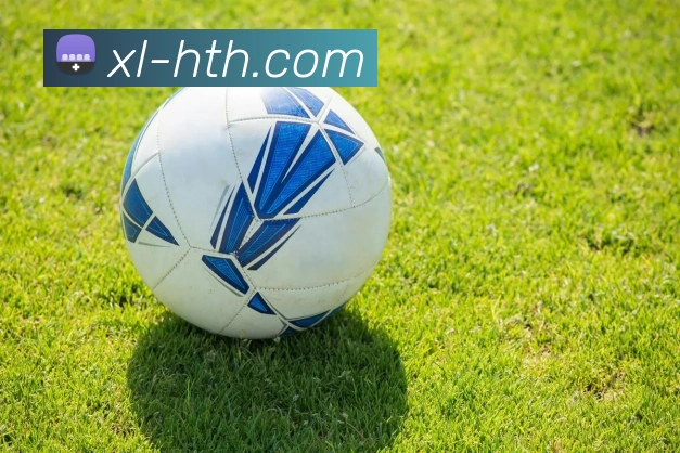 hth体育APP 封面图